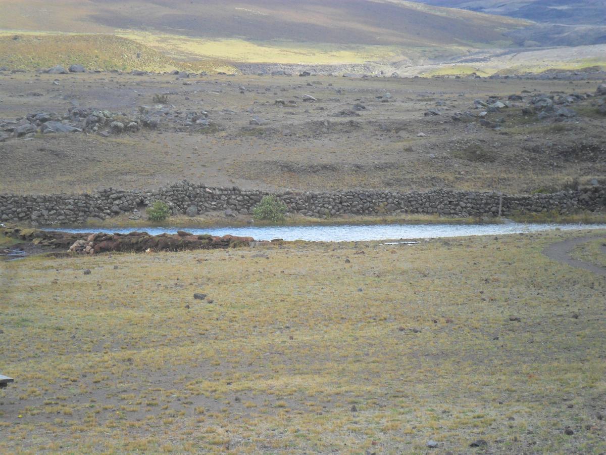 Hotel Tambopaxi Machachi Exterior photo